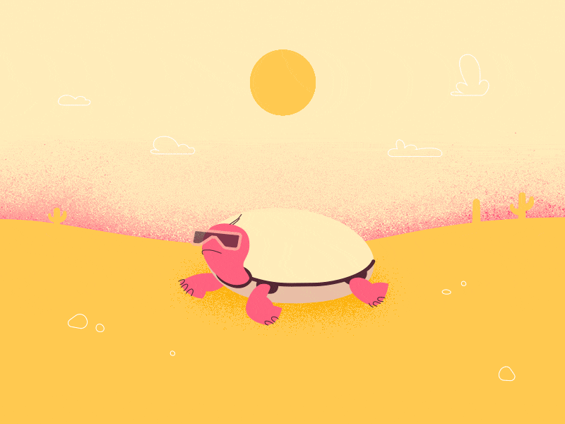 Turtle animation